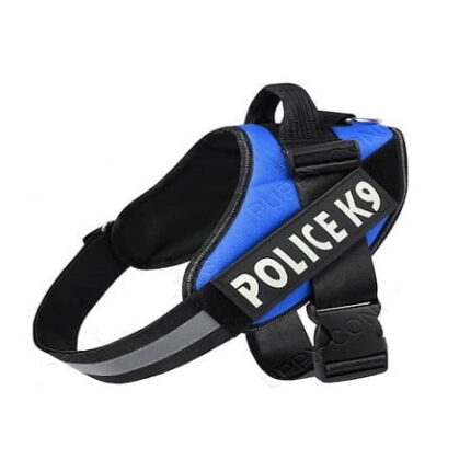 K9 - Σαμαράκι sκύλων