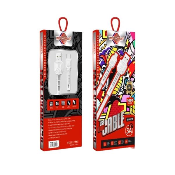 Wisdomup Καλώδια δεδομένων Type-C SJX-03T 1m 3A - Data cables