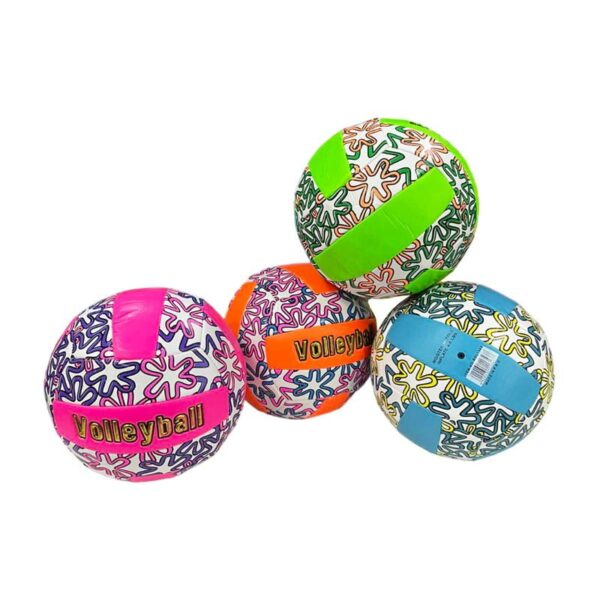 Μπάλα βόλεϋ σε διάφορα χρώματα - Volleyball