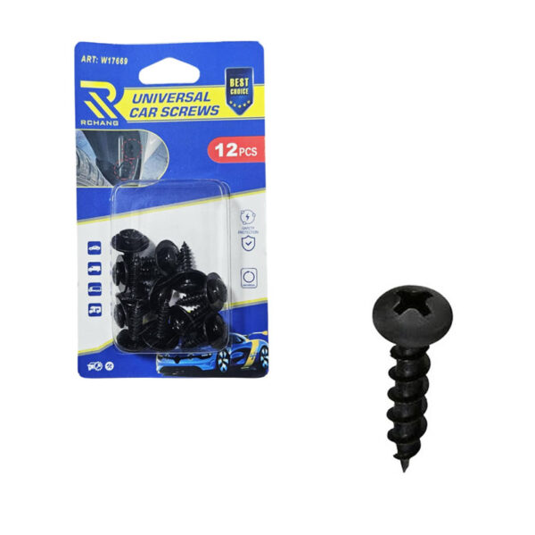 Rchang Βίδες Αυτοκινήτου Universal W17669 – Σετ 12 Τεμαχίων - Car Screws