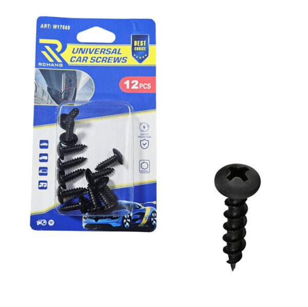 Rchang Βίδες Αυτοκινήτου Universal W17669 – Σετ 12 Τεμαχίων - Car Screws
