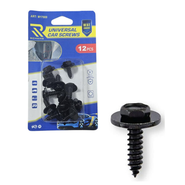 Rchang Βίδες Αυτοκινήτου Universal W17669 – Σετ 12 Τεμαχίων - Car Screws