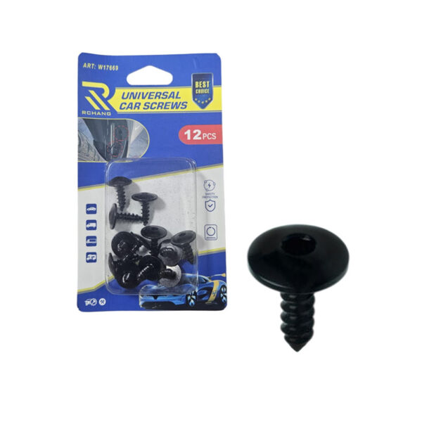 Rchang Βίδες Αυτοκινήτου Universal W17669 – Σετ 12 Τεμαχίων - Car Screws