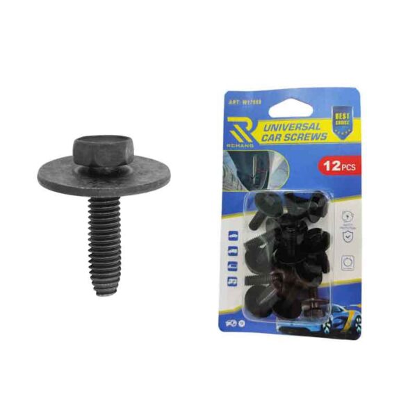 Rchang Βίδες Αυτοκινήτου Universal Εξάγωνες Με Ροδέλες W17669 Σετ 12τμχ 7509(J40) - Car Screws